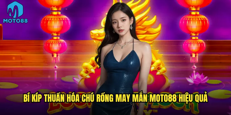 Chú rồng may mắn Moto88 có thực sự đem lại vận may vàng? 3 Bí kíp thuần hóa chú rồng may mắn Moto88 hiệu quả