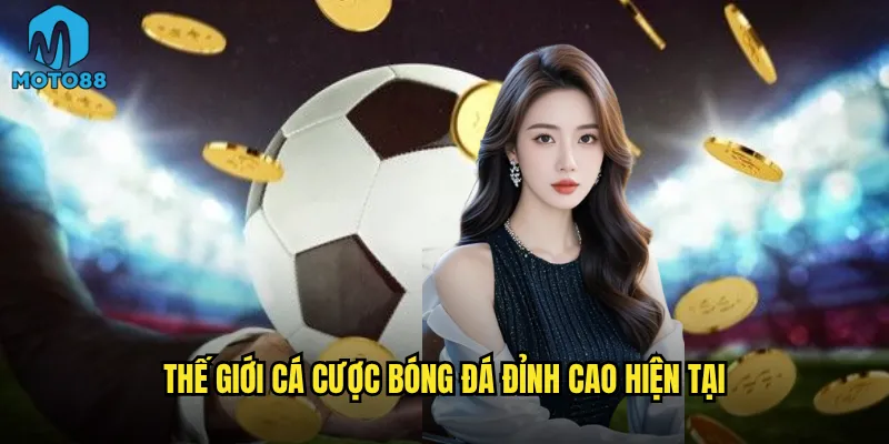 Cá cược bóng đá Moto88 có phải là lựa chọn số 1 cho fan túc cầu? 2 Thế giới cá cược bóng đá đỉnh cao hiện tại