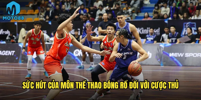 Làm sao để trở thành cao thủ cá cược bóng rổ Moto88? 2 Sức hút của môn thể thao bóng rổ đối với cược thủ